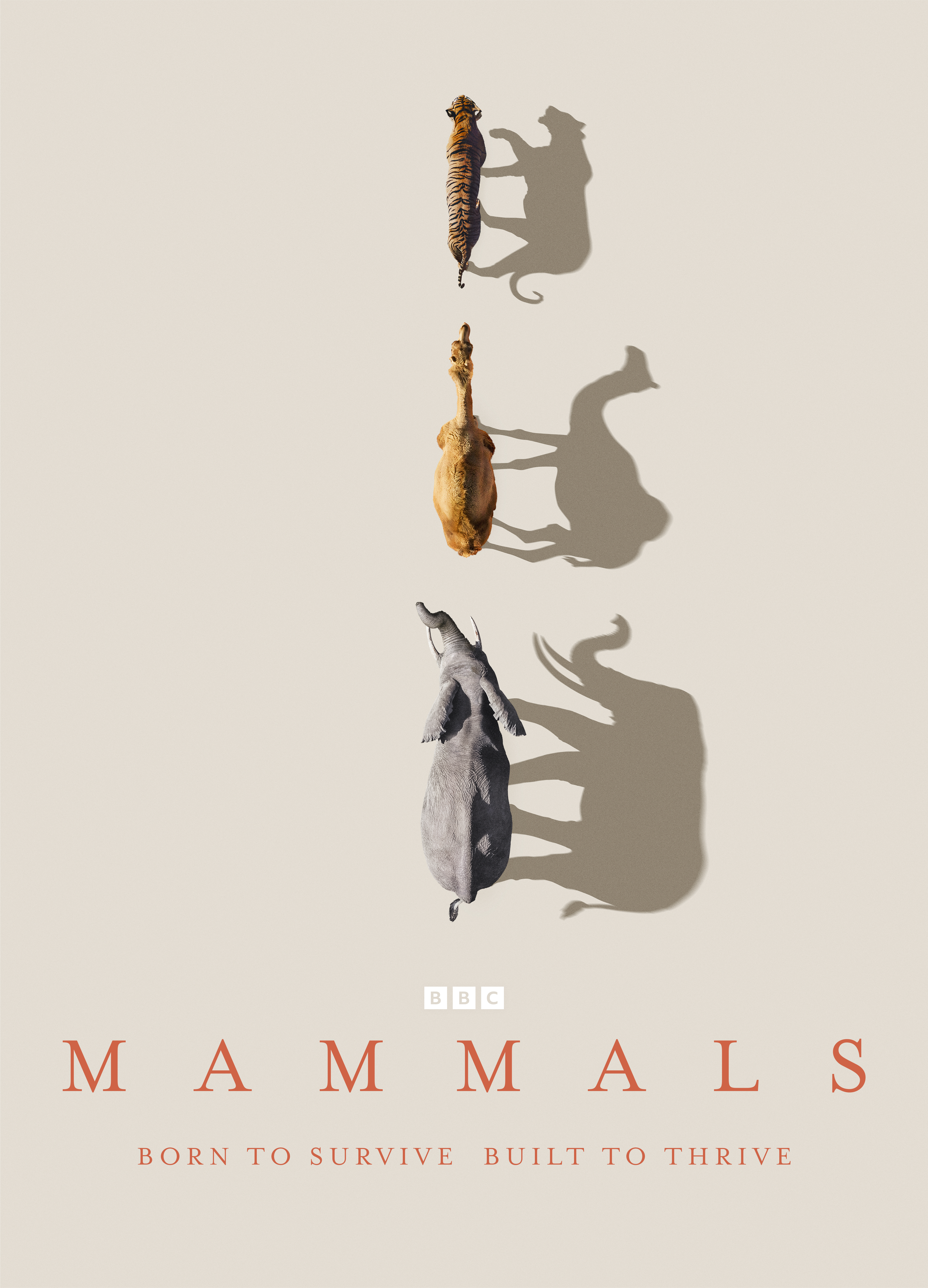 Mammals (2024)